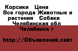 Корсики › Цена ­ 15 000 - Все города Животные и растения » Собаки   . Челябинская обл.,Челябинск г.